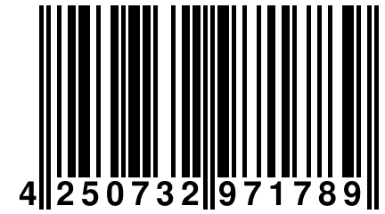 4 250732 971789
