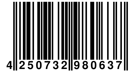 4 250732 980637