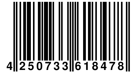4 250733 618478