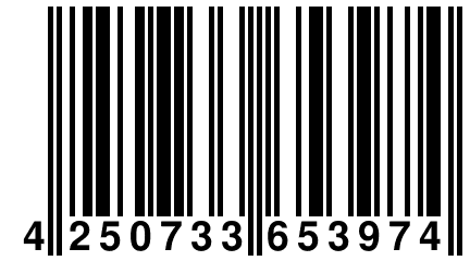 4 250733 653974