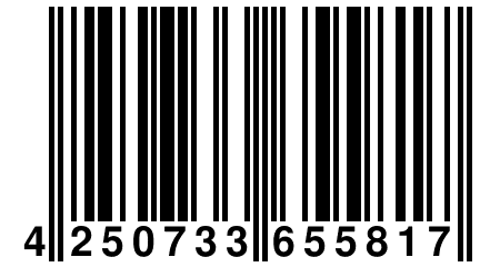 4 250733 655817