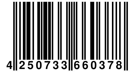 4 250733 660378