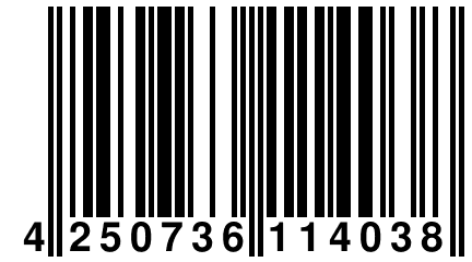 4 250736 114038
