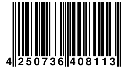 4 250736 408113