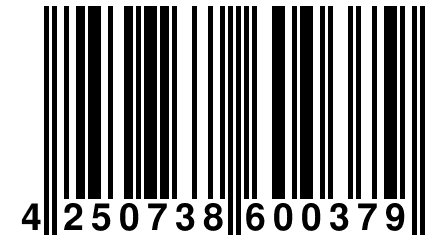 4 250738 600379