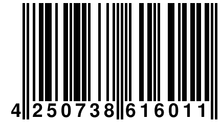 4 250738 616011