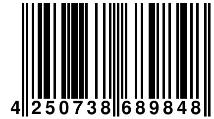 4 250738 689848
