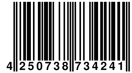 4 250738 734241