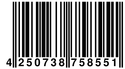 4 250738 758551