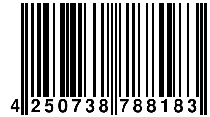 4 250738 788183