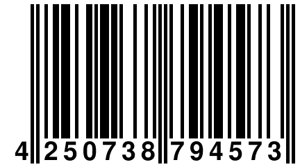 4 250738 794573