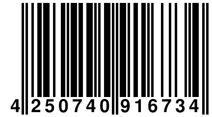 4 250740 916734