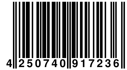 4 250740 917236