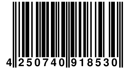 4 250740 918530