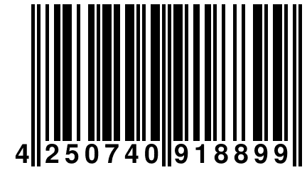 4 250740 918899