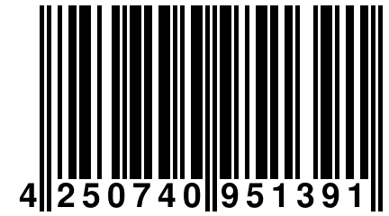4 250740 951391