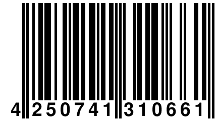 4 250741 310661