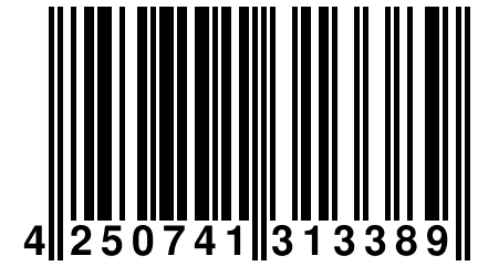 4 250741 313389