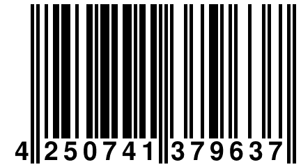 4 250741 379637