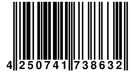 4 250741 738632