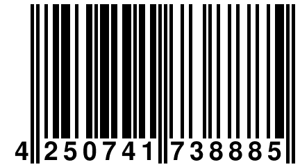 4 250741 738885