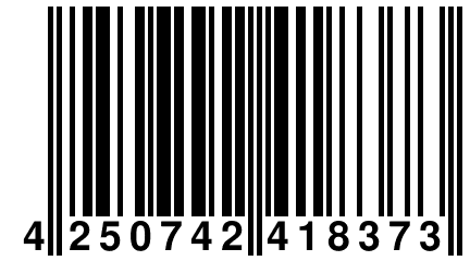 4 250742 418373