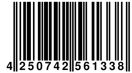 4 250742 561338