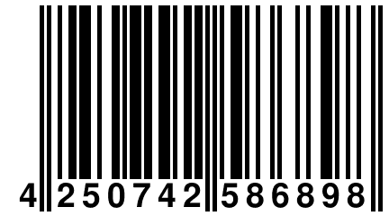 4 250742 586898