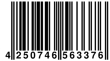 4 250746 563376