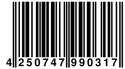 4 250747 990317