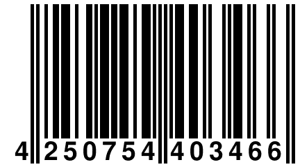 4 250754 403466