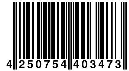 4 250754 403473