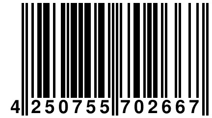 4 250755 702667