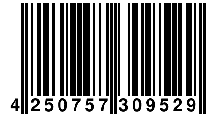 4 250757 309529