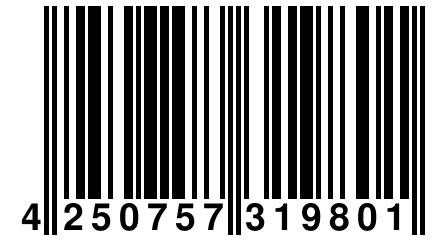 4 250757 319801