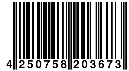 4 250758 203673