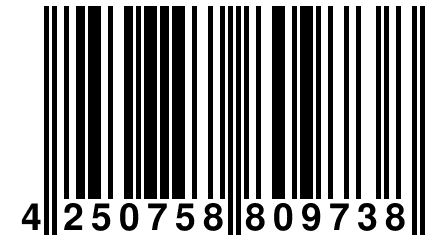 4 250758 809738