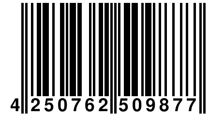 4 250762 509877