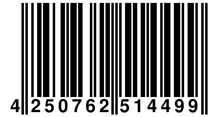 4 250762 514499