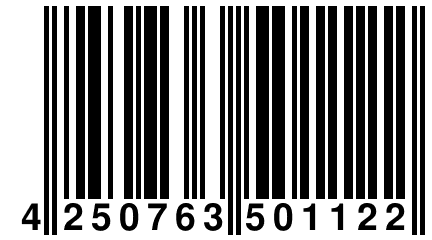 4 250763 501122