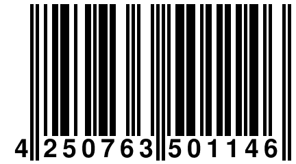 4 250763 501146