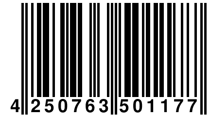 4 250763 501177