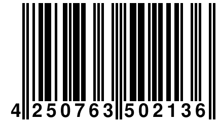 4 250763 502136