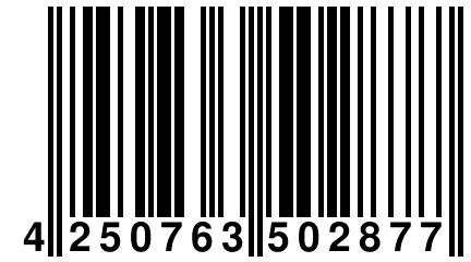 4 250763 502877