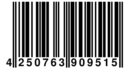 4 250763 909515