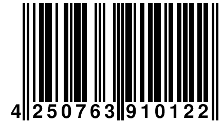 4 250763 910122