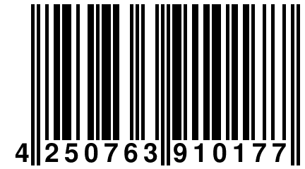 4 250763 910177