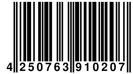 4 250763 910207