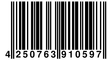 4 250763 910597