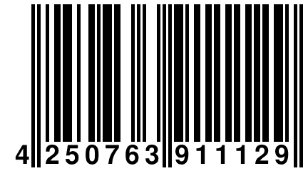 4 250763 911129